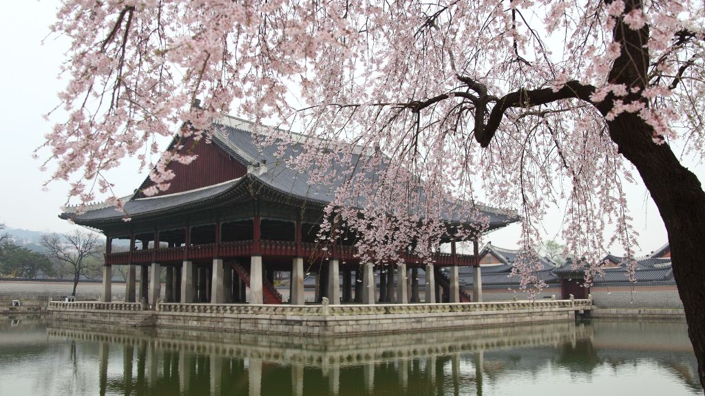 Flights paths to South Korea